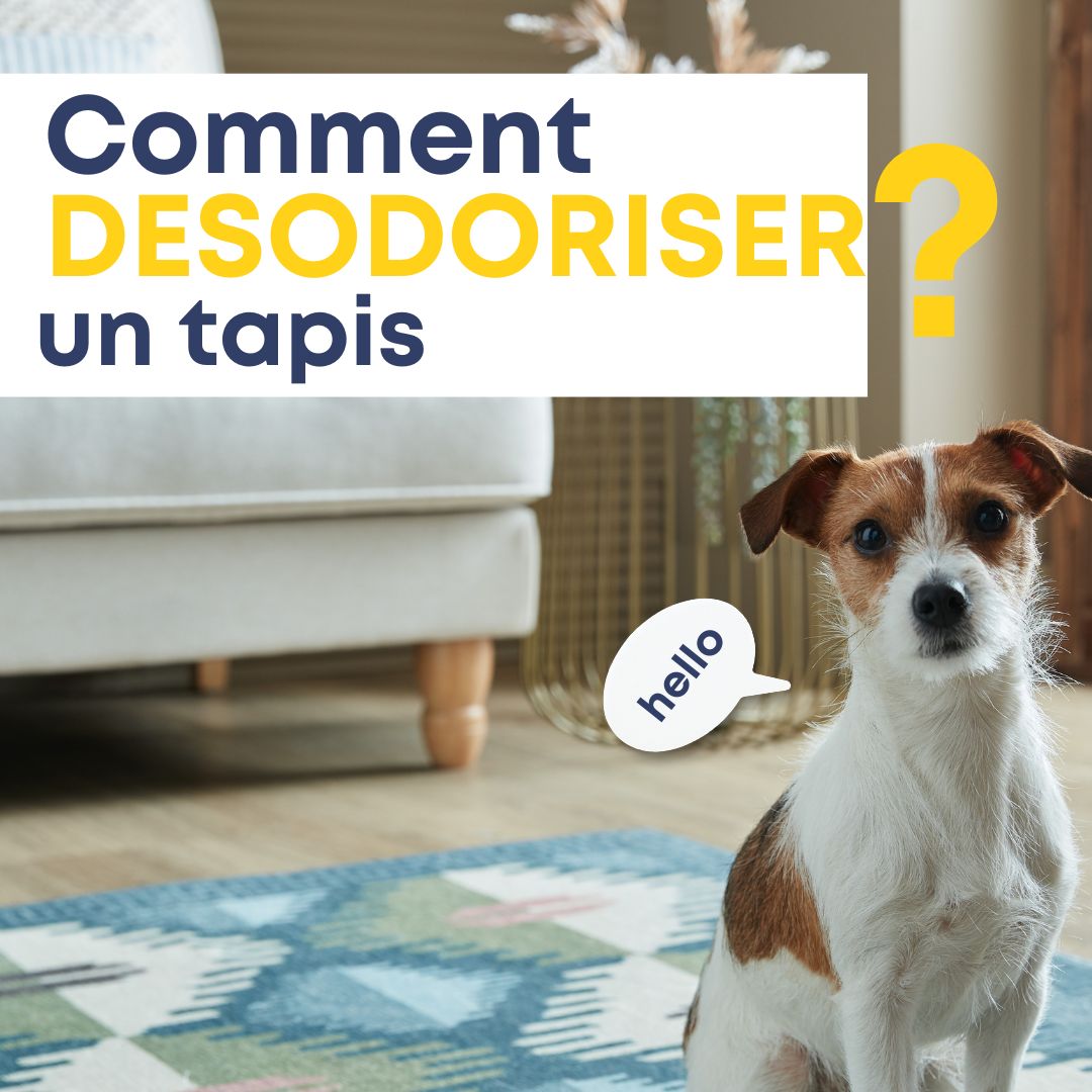 Comment desodoriser un tapis: Nos astuces