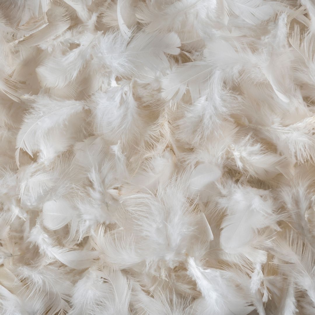 Comment entretenir sa couette naturelle