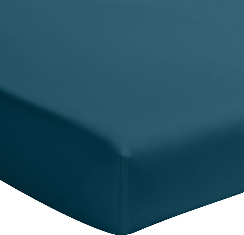 #couleur_bleu