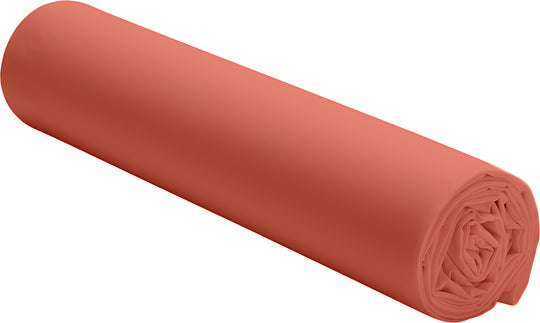 #couleur_terracotta
