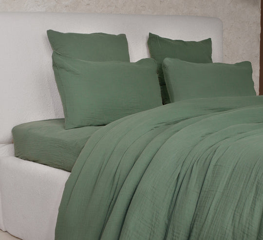 #couleur_vert
