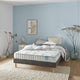 Matelas latex MERINOS le TOUT DOUX 160x200cm