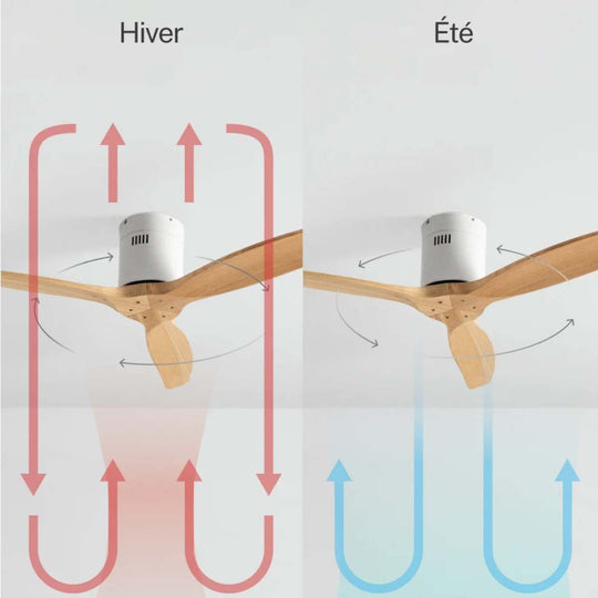 Ventilateur de plafond CREATE silencieux 40W avec pales techniques en ABS