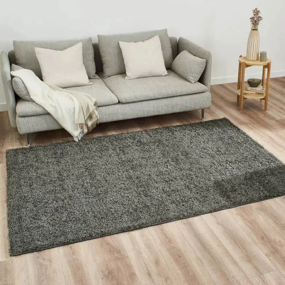 Tapis Shaggy poils court