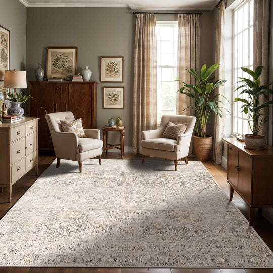Tapis Vintage Oriental Gris/Beige Sohag