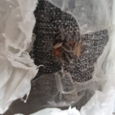 Canapé d'angle gauche convertible LES TENDANCES Divona 5 places en tissu Gris