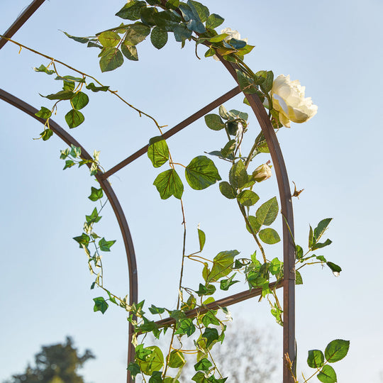 Arche à rosier LOBERON Dimarus — photo produit