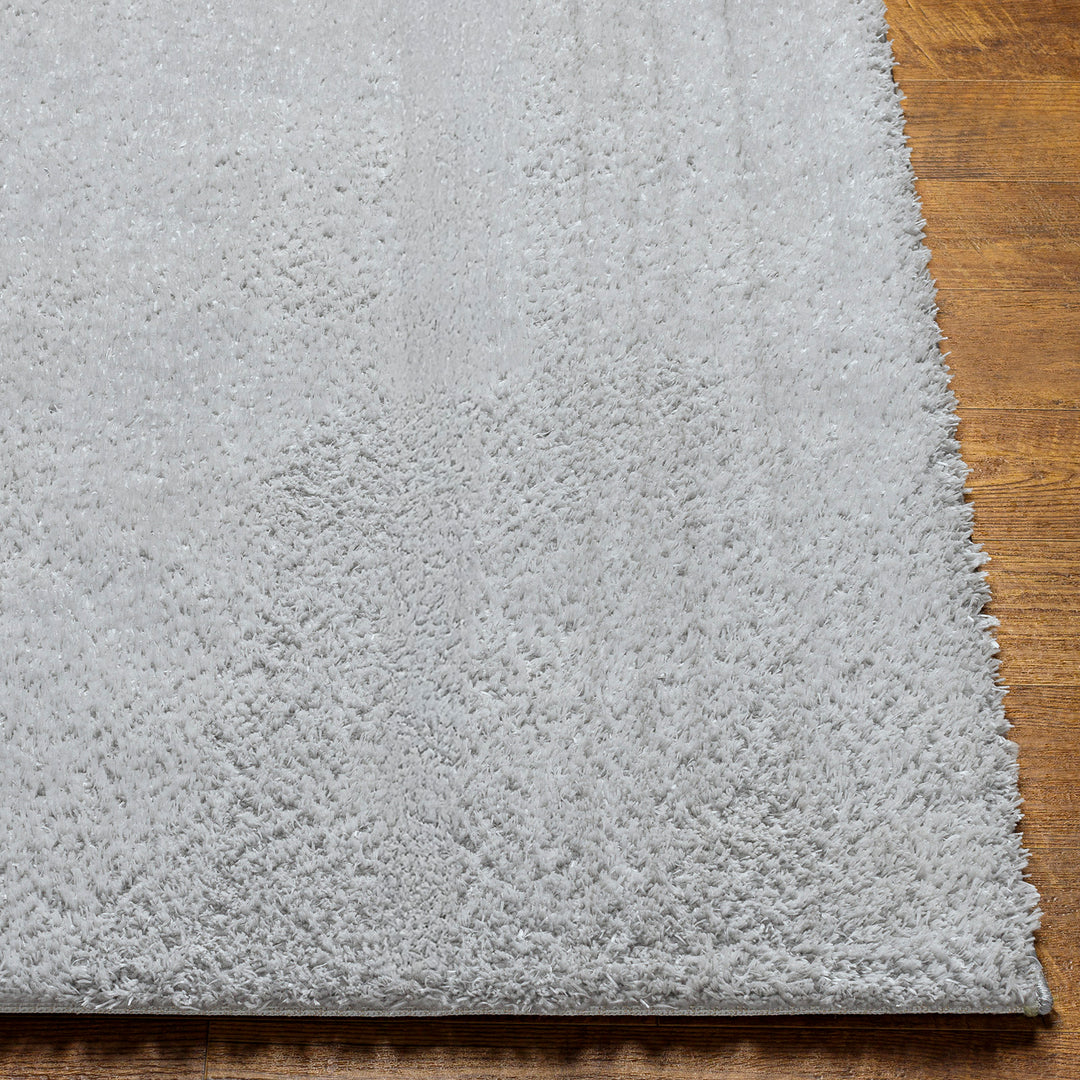 Tapis Shaggy Moderne Gris Clair Trento