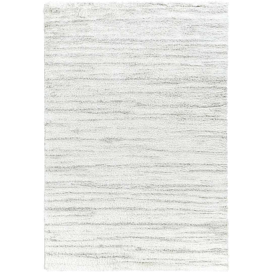 Tapis Shaggy Moderne Blanc/Gris Gouda