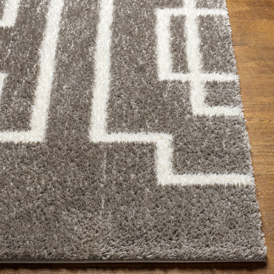 Tapis Shaggy Moderne Gris/Blanc Bragga
