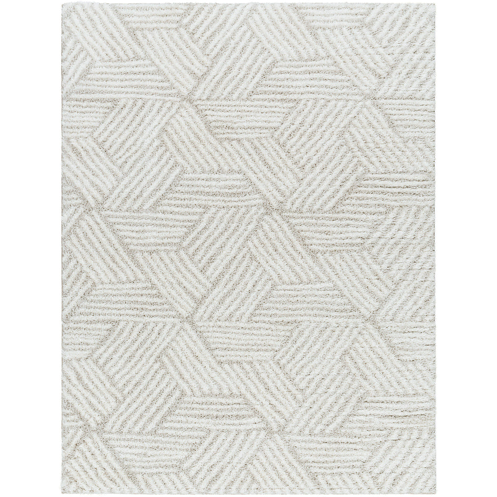 Tapis Shaggy Moderne Ivoire/Beige Eupen