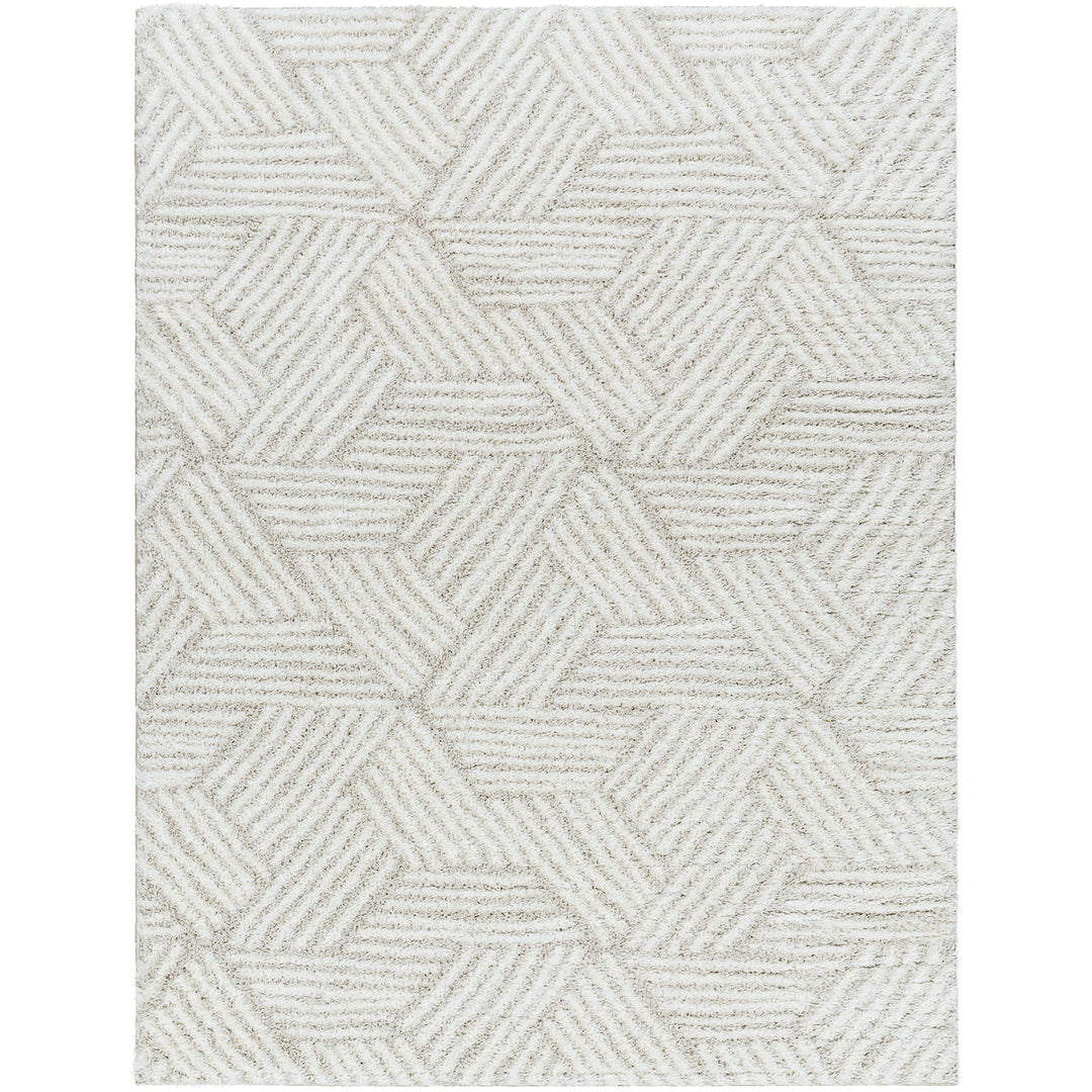 Tapis Shaggy Moderne Ivoire/Beige Eupen