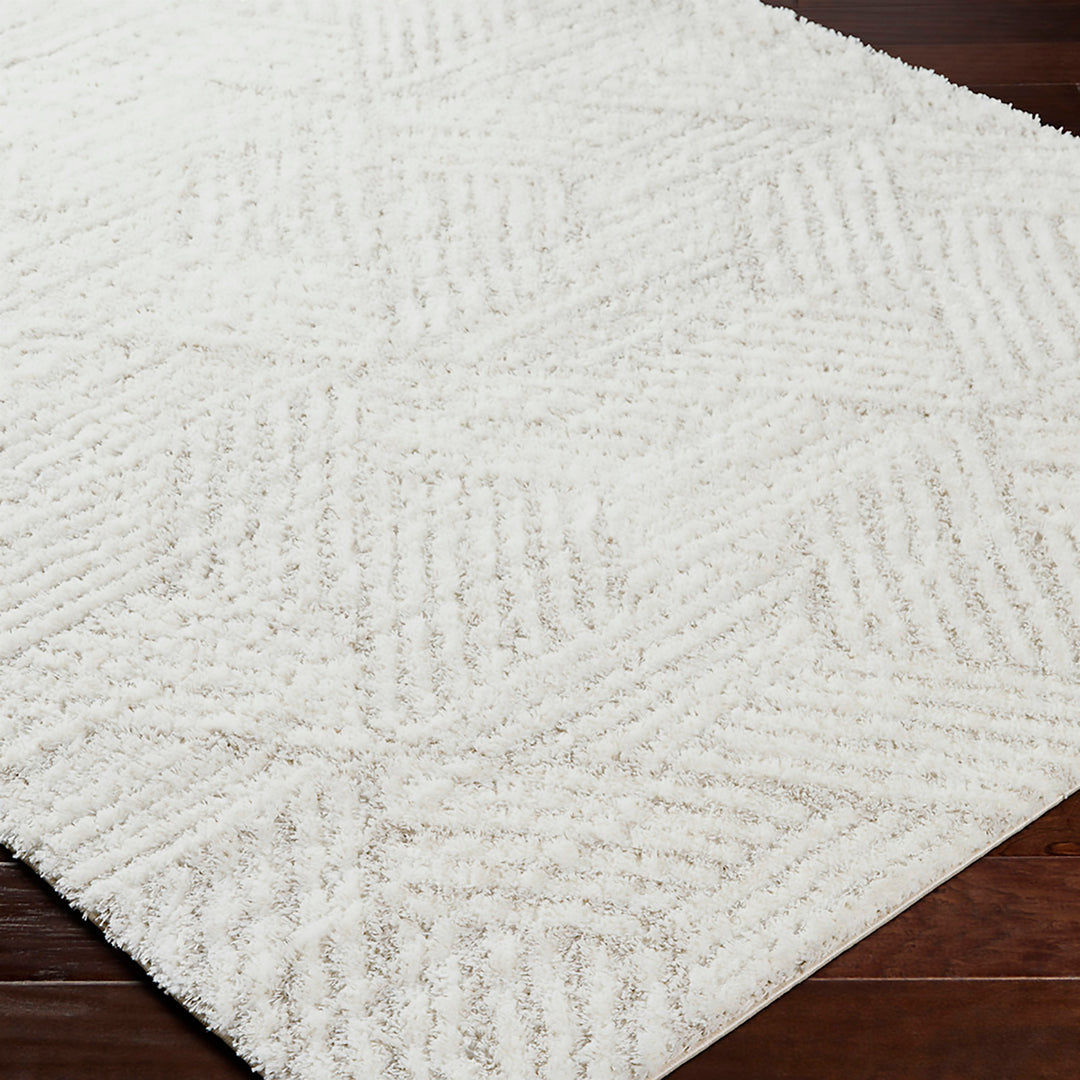 Tapis Shaggy Moderne Ivoire/Beige Eupen