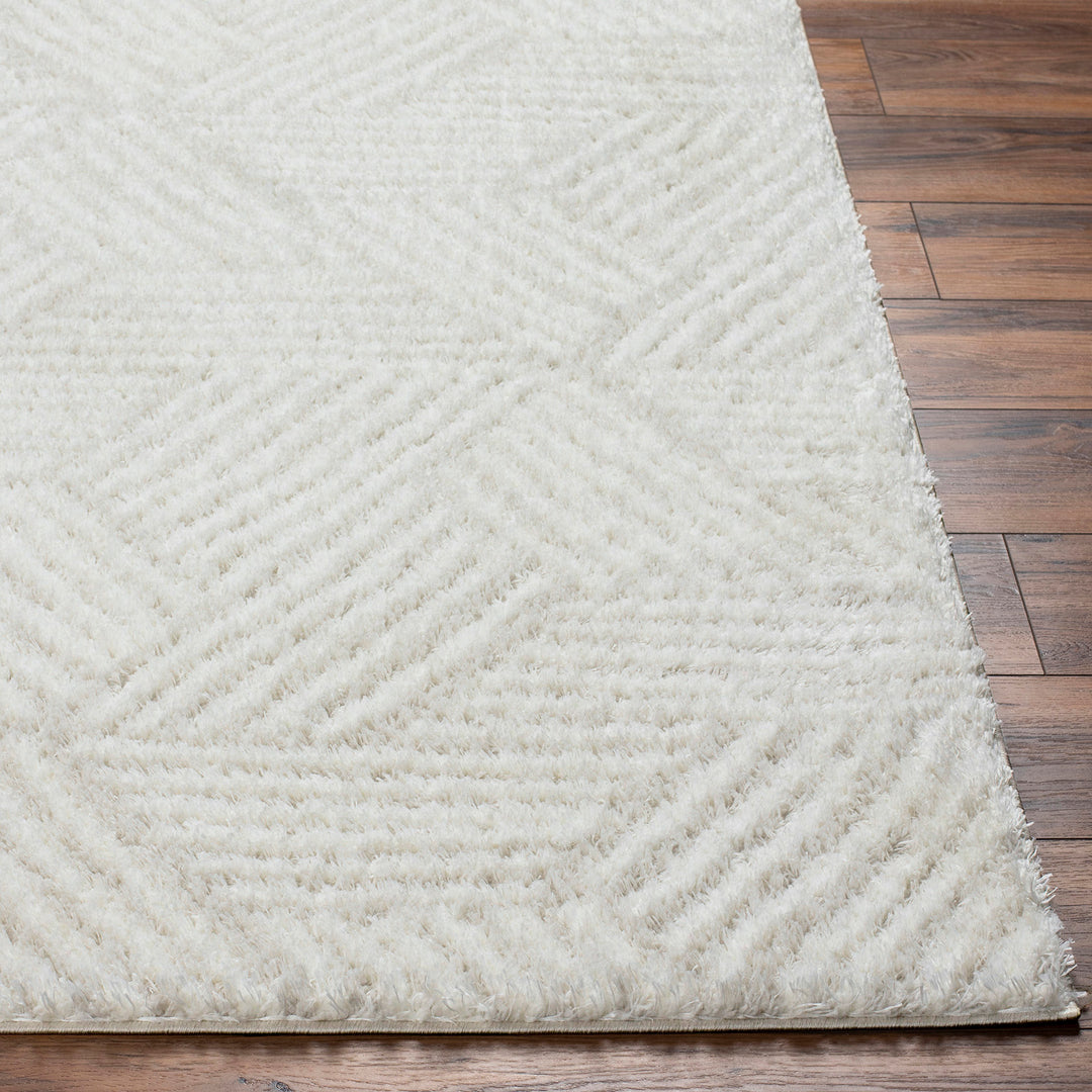 Tapis Shaggy Moderne Ivoire/Beige Eupen