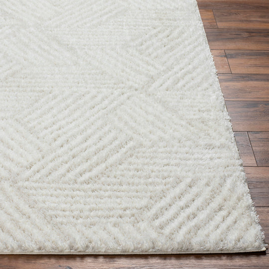 Tapis Shaggy Moderne Ivoire/Beige Eupen
