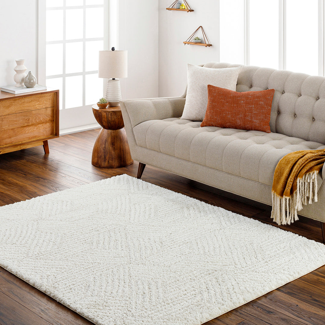 Tapis Shaggy Moderne Ivoire/Beige Eupen