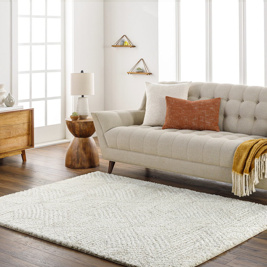Tapis Shaggy Moderne Ivoire/Beige Eupen