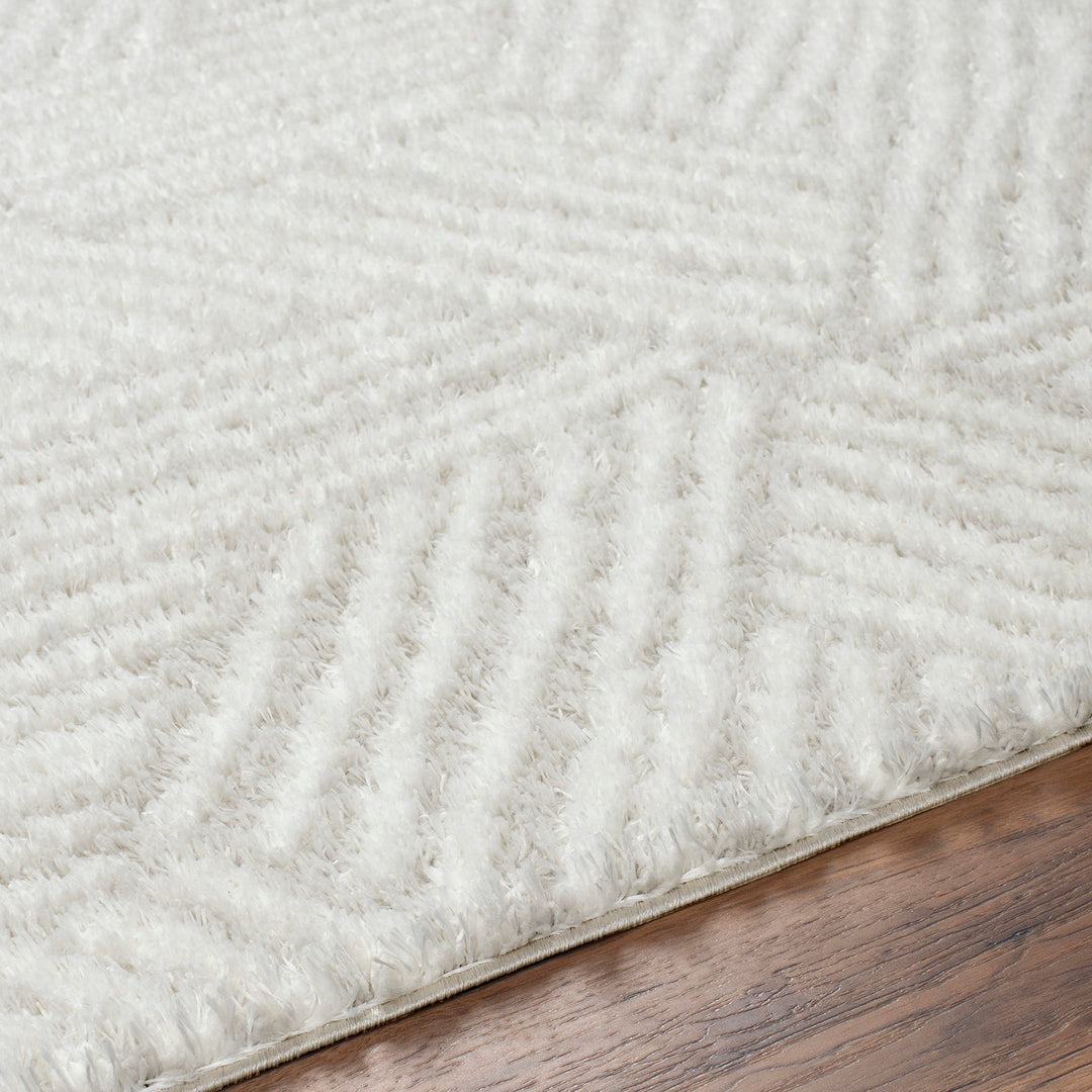 Tapis Shaggy Moderne Ivoire/Beige Eupen