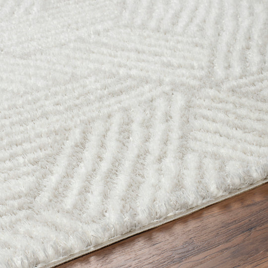 Tapis Shaggy Moderne Ivoire/Beige Eupen