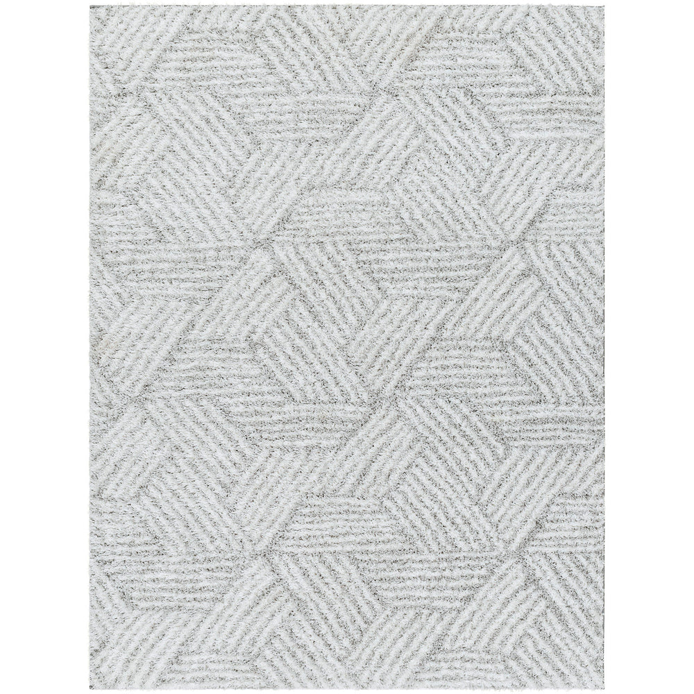 Tapis Shaggy Moderne Blanc/Gris Eupen