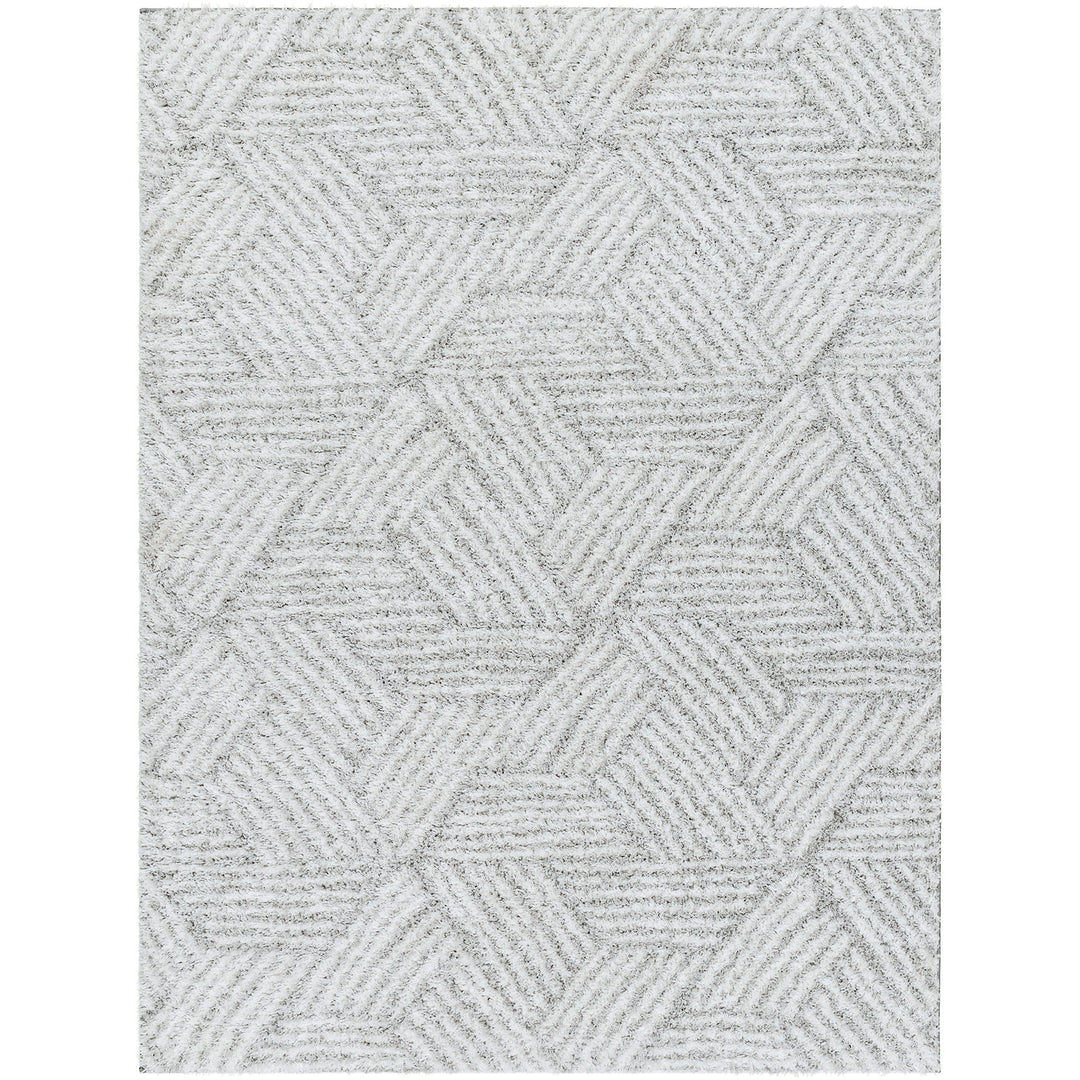 Tapis Shaggy Moderne Blanc/Gris Eupen