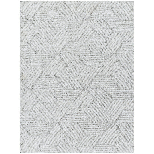 Tapis Shaggy Moderne Blanc/Gris Eupen