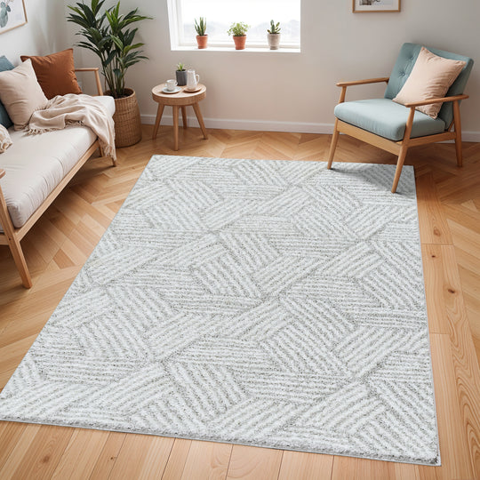Tapis Shaggy Moderne Blanc/Gris Eupen