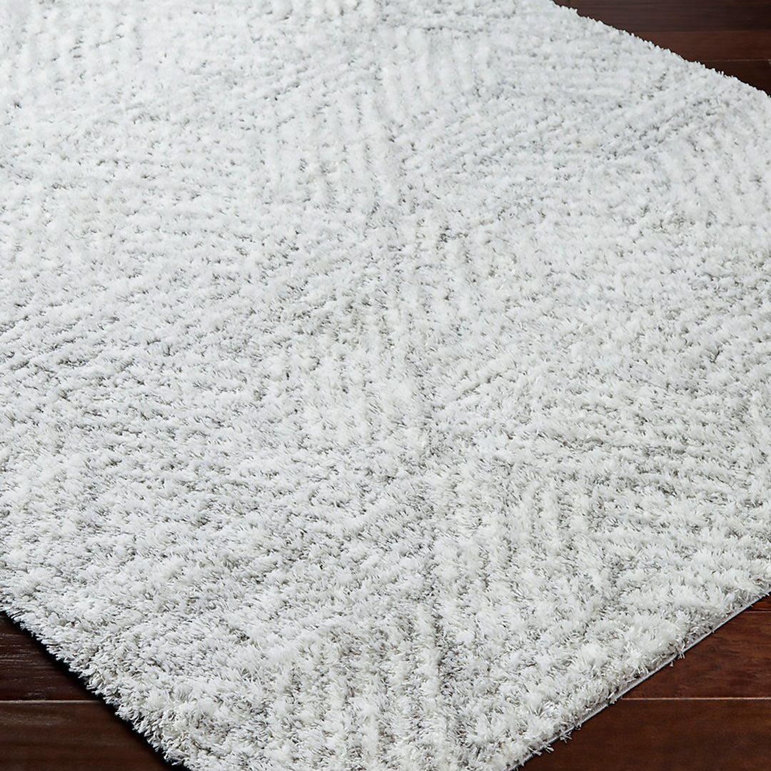 Tapis Shaggy Moderne Blanc/Gris Eupen