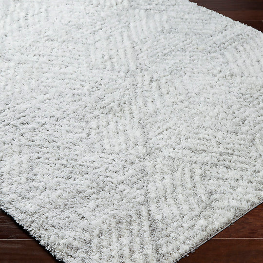Tapis Shaggy Moderne Blanc/Gris Eupen