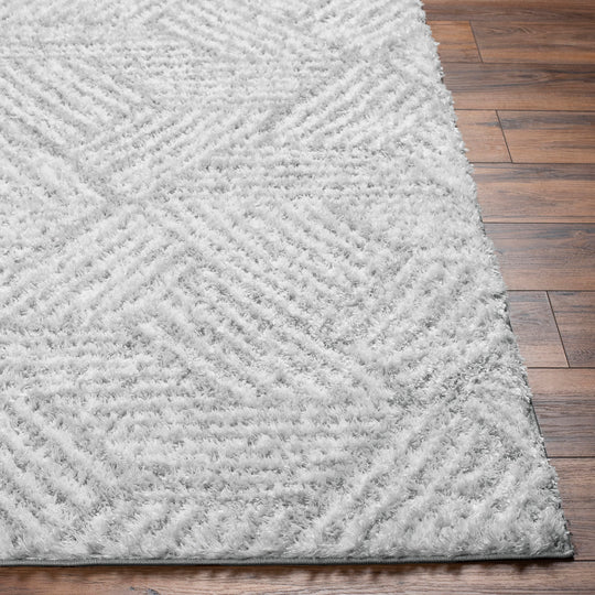 Tapis Shaggy Moderne Blanc/Gris Eupen