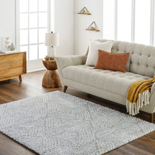 Tapis Shaggy Moderne Blanc/Gris Eupen
