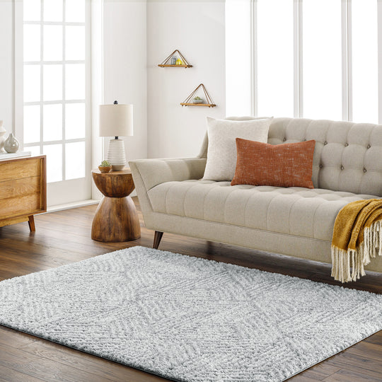 Tapis Shaggy Moderne Blanc/Gris Eupen