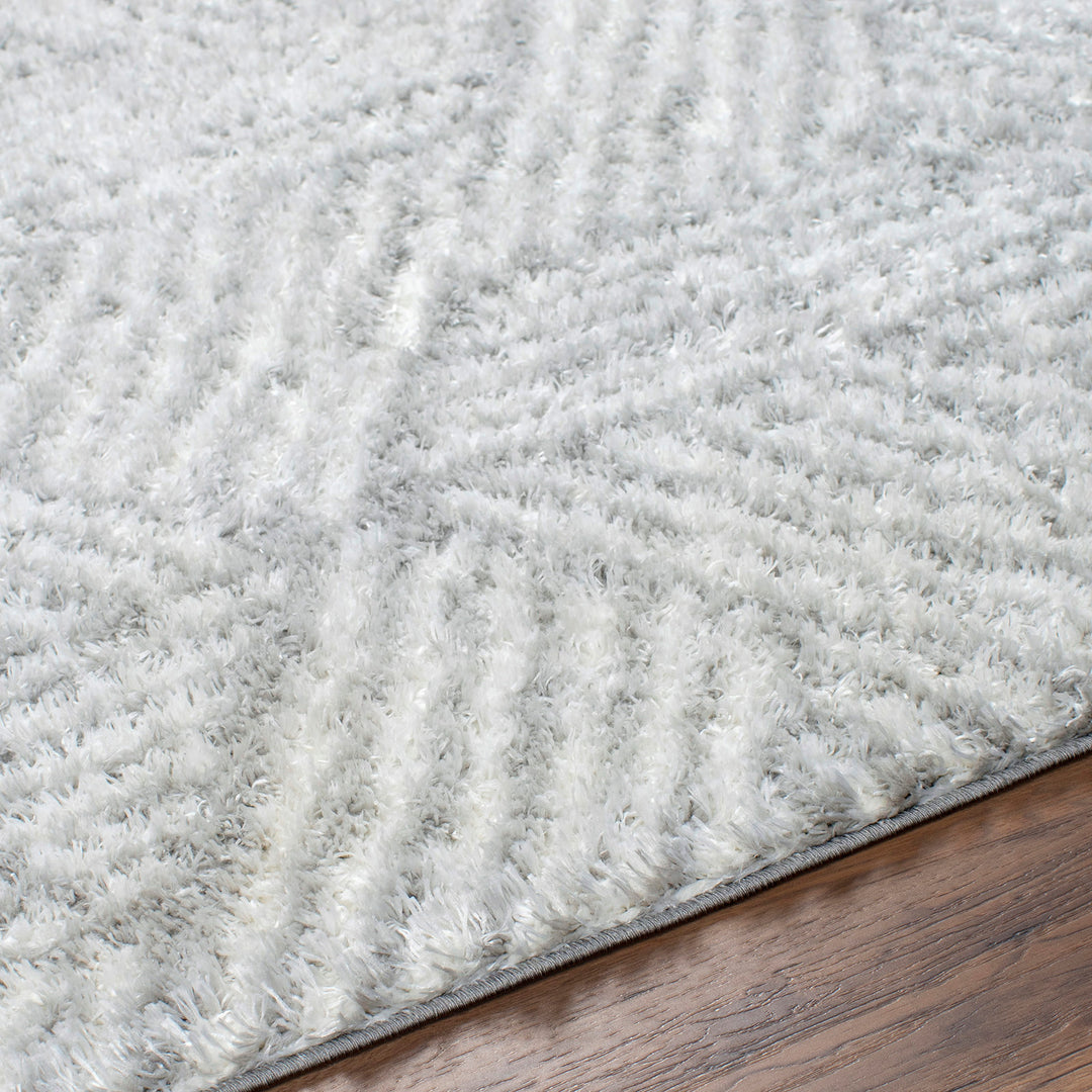 Tapis Shaggy Moderne Blanc/Gris Eupen