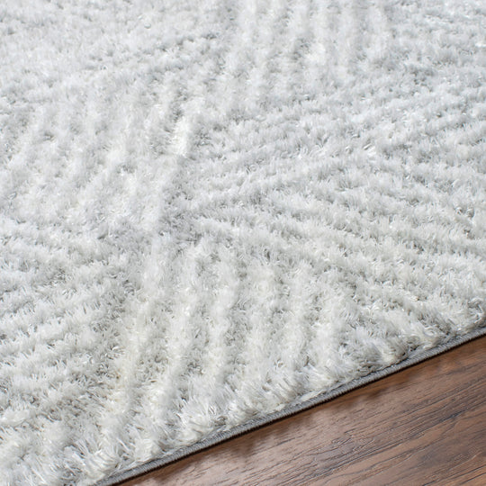 Tapis Shaggy Moderne Blanc/Gris Eupen