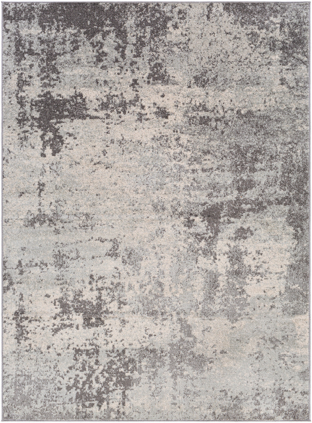 Tapis Abstrait Moderne Gris/Blanc Baroda