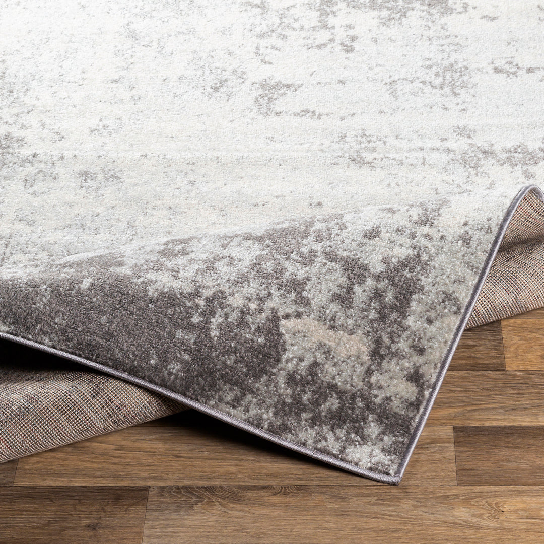 Tapis Abstrait Moderne Gris/Blanc Baroda