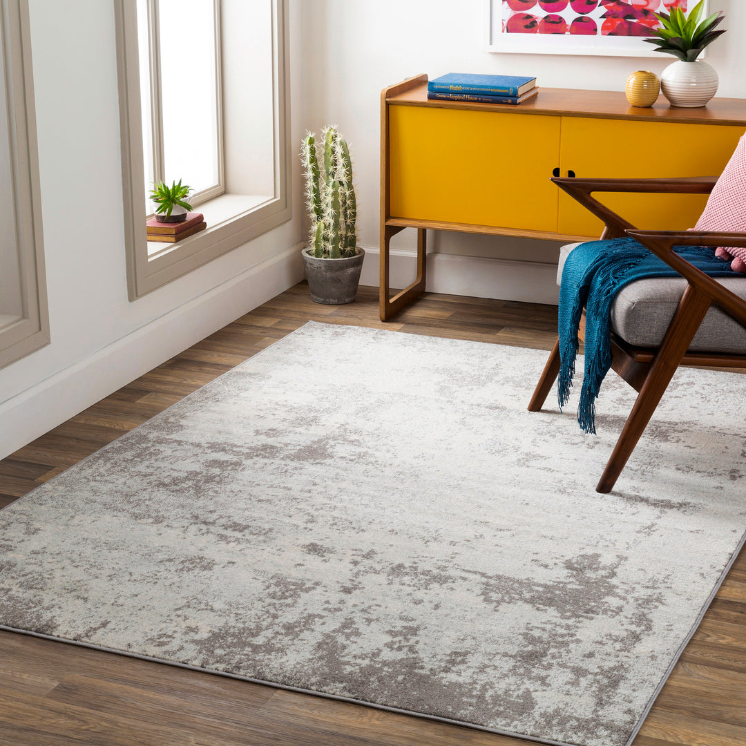 Tapis Abstrait Moderne Gris/Blanc Baroda