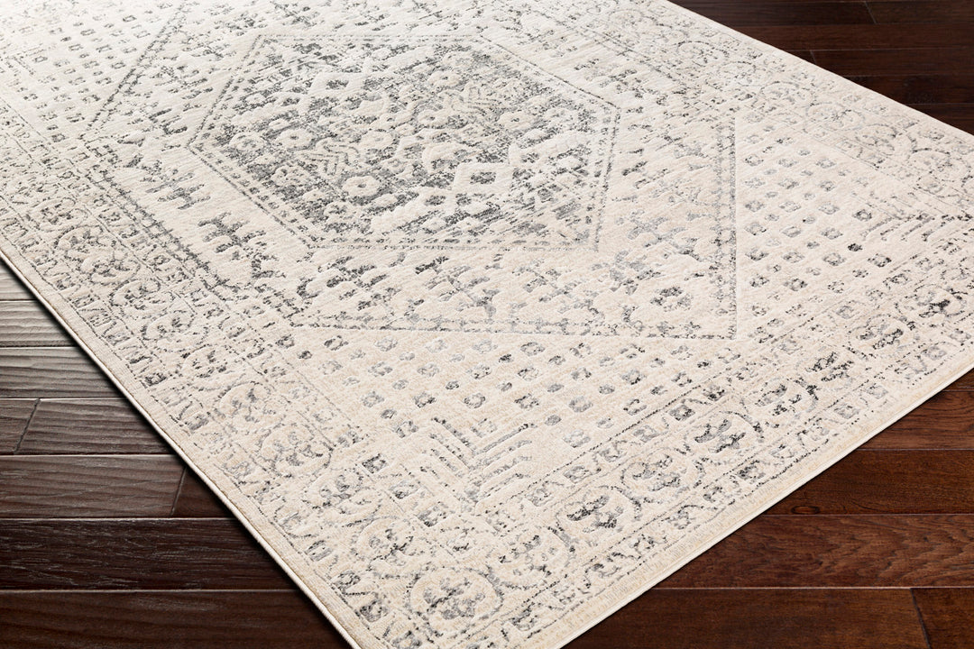 Tapis de Couloir Vintage Oriental Beige/Gris Nephi