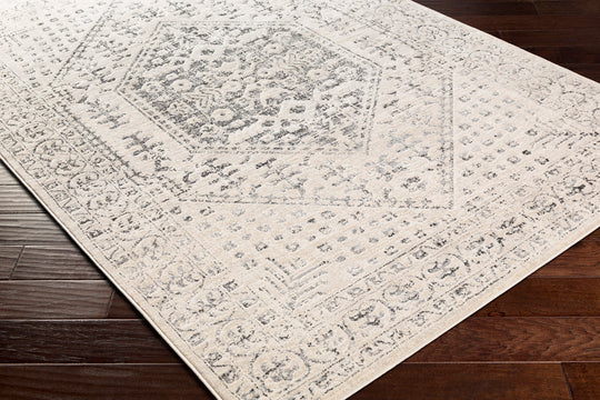 Tapis de Couloir Vintage Oriental Beige/Gris Nephi