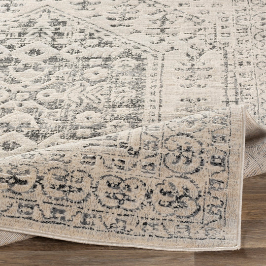 Tapis de Couloir Vintage Oriental Beige/Gris Nephi