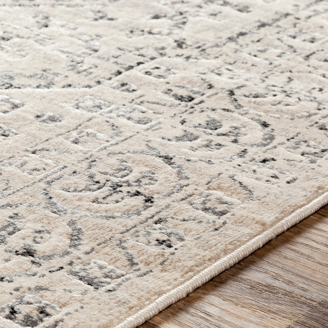 Tapis Vintage Oriental Beige/Gris Nephi