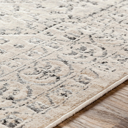 Tapis Vintage Oriental Beige/Gris Nephi