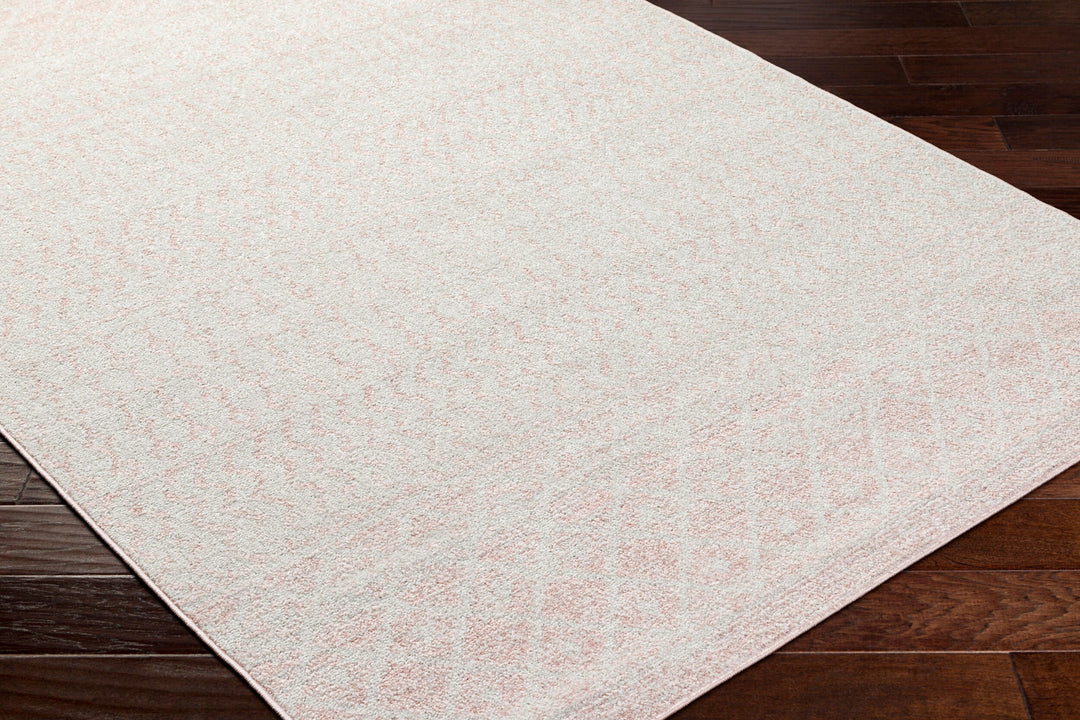 Tapis Scandinave Bohème Rose/Gris Nice