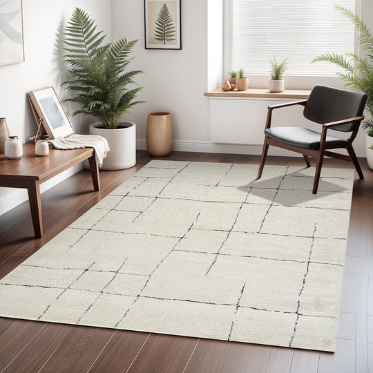 Tapis Scandinave Moderne Ivoire/Gris Prague