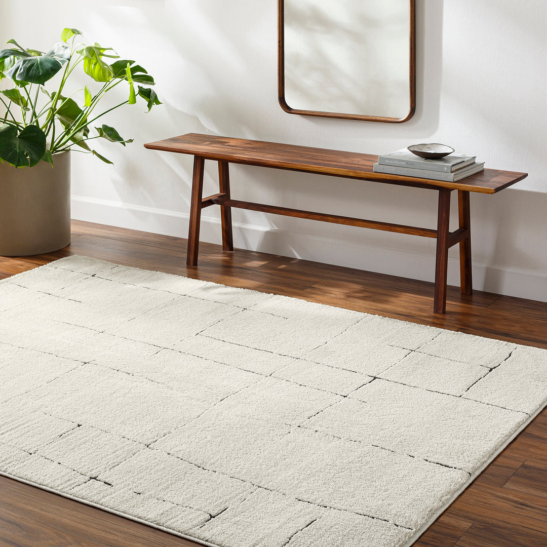 Tapis Scandinave Moderne Ivoire/Gris Prague