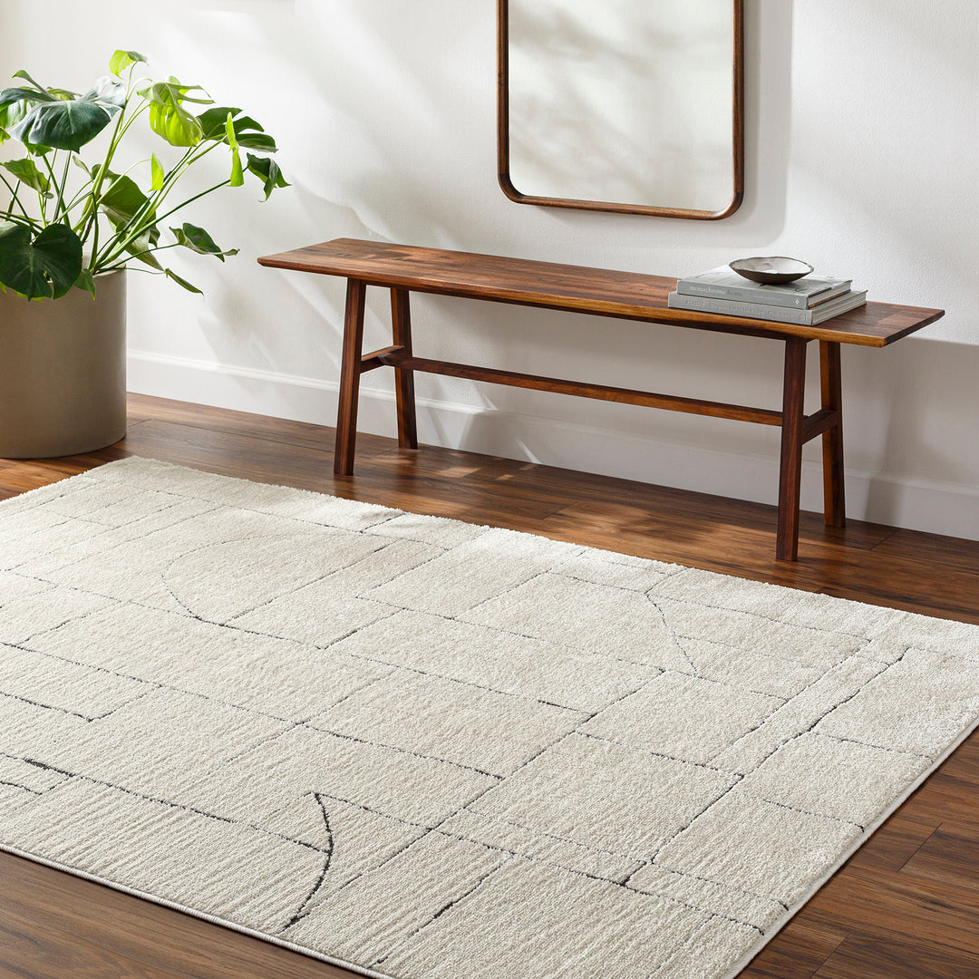 Tapis Scandinave Moderne Ivoire/Gris Bari
