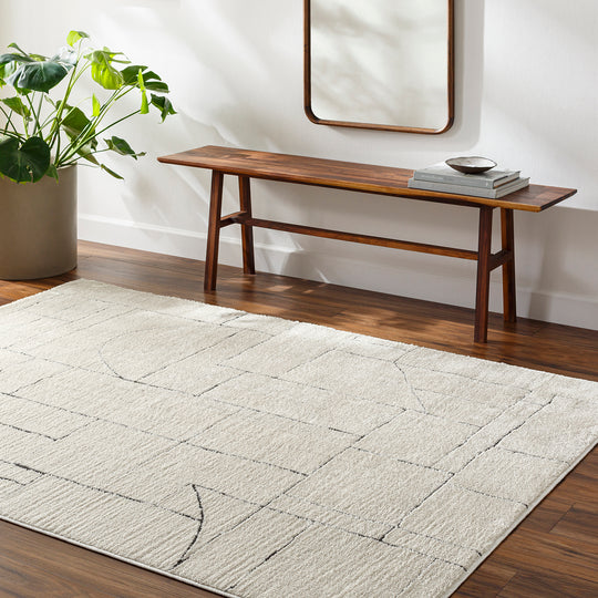 Tapis Scandinave Moderne Ivoire/Gris Bari