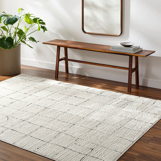 Tapis Scandinave Moderne Ivoire/Gris Inchon