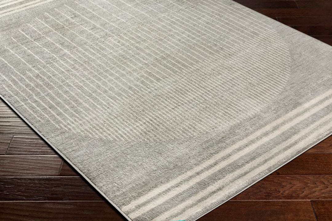 Tapis Scandinave Moderne Gris/Beige Santiago