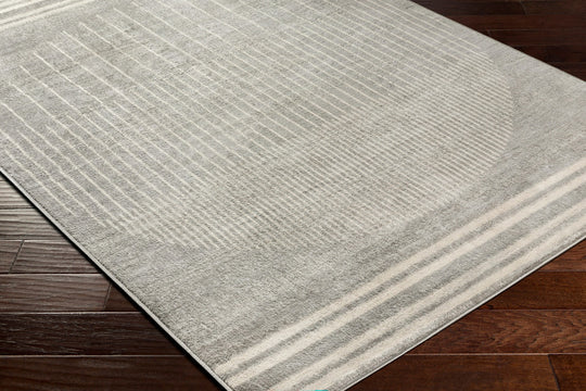 Tapis Scandinave Moderne Gris/Beige Santiago